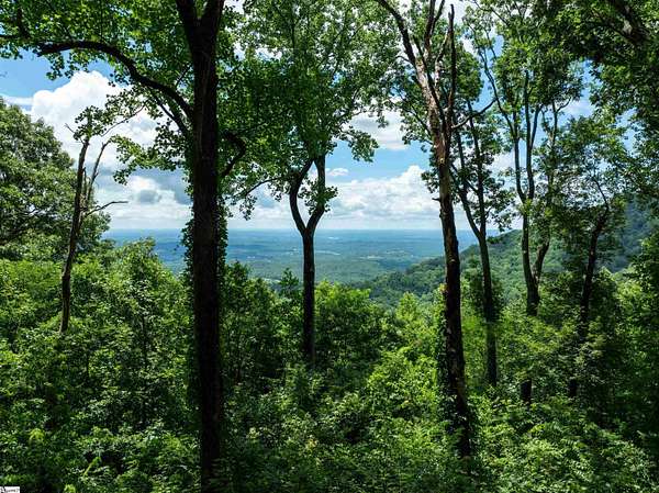 1.1 Acres of Residential Land for Sale in Landrum, South Carolina