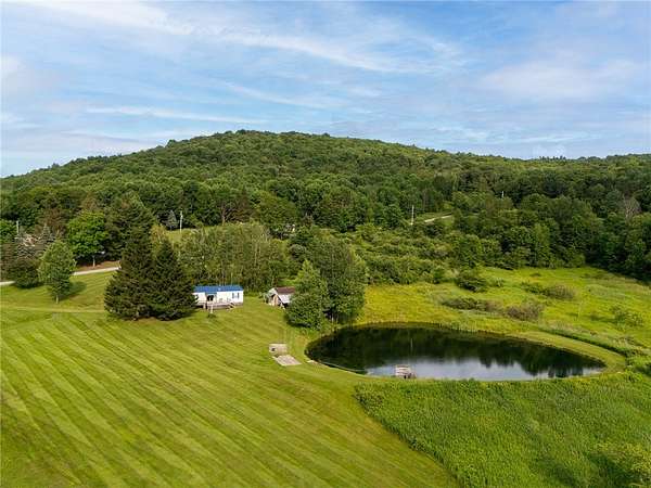 6.7 Acres of Residential Land with Home for Sale in Walton, New York