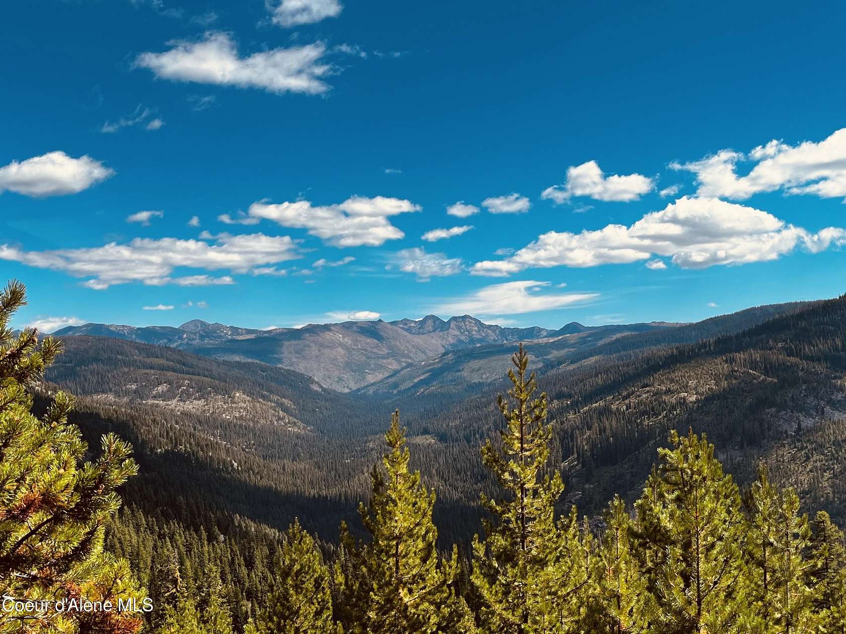 3.84 Acres of Land for Sale in Lowell, Idaho