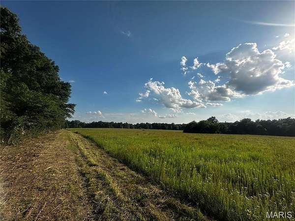6.7 Acres of Residential Land for Sale in Mexico, Missouri