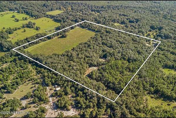 40 Acres of Agricultural Land for Sale in Hawthorne, Florida
