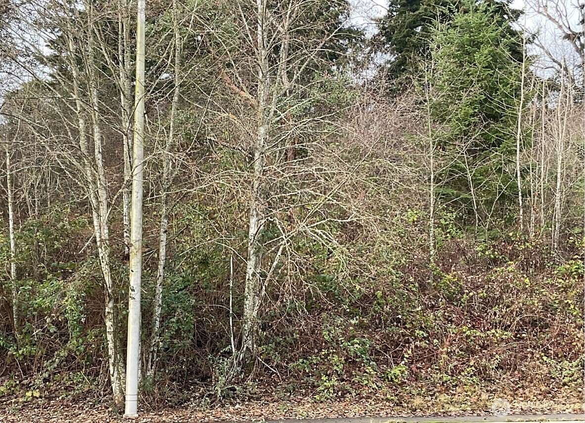 3 Acres of Residential Land for Sale in Tacoma, Washington