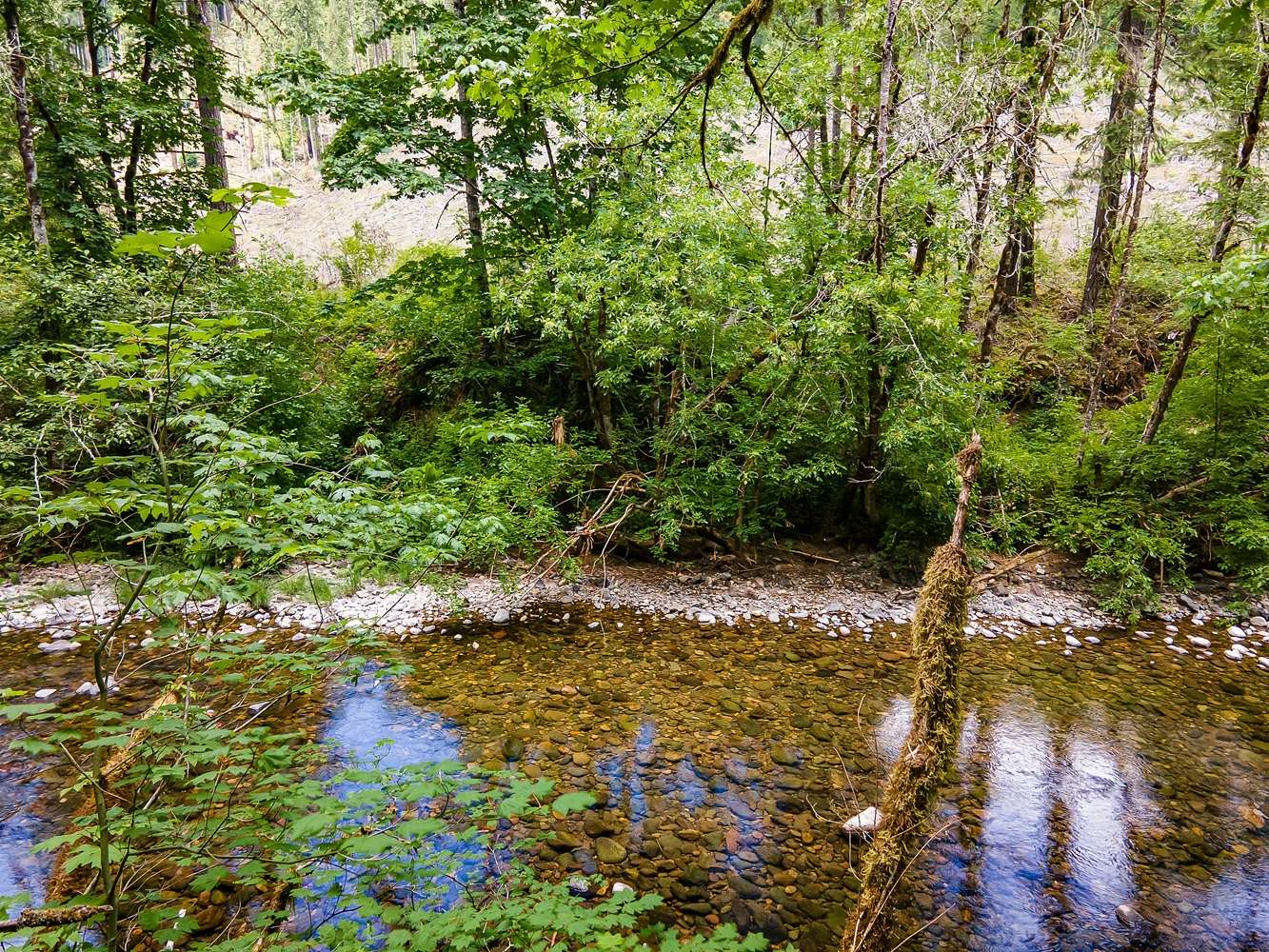 39.6 Acres of Recreational Land for Sale in Cottage Grove, Oregon