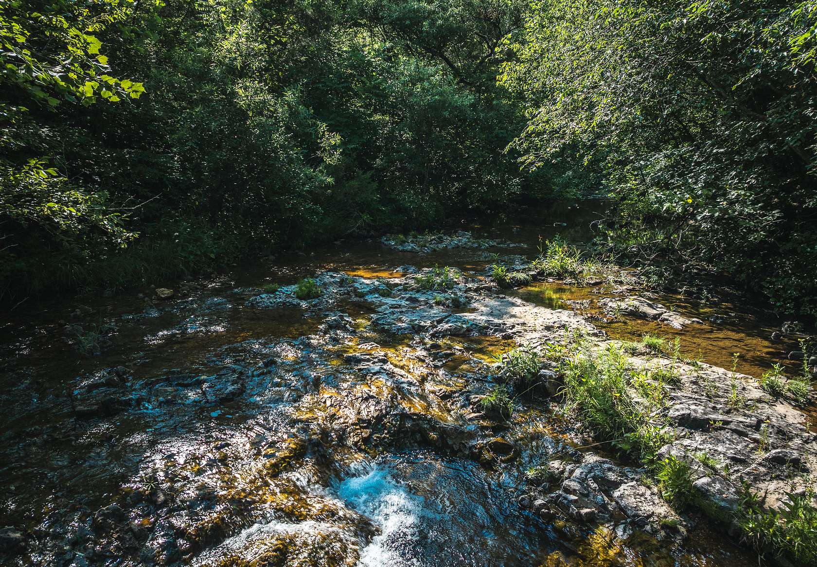 155 Acres of Land with Home for Sale in Black, Missouri