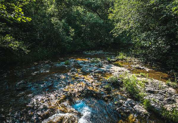 155 Acres of Land with Home for Sale in Black, Missouri