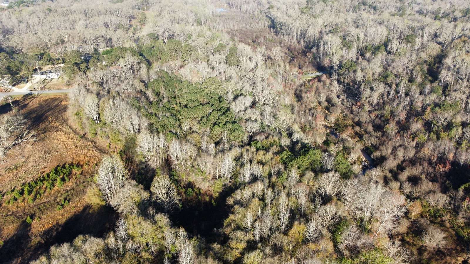 35 Acres of Land for Sale in Seale, Alabama