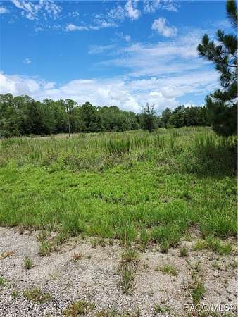 0.41 Acres of Residential Land for Sale in Dunnellon, Florida