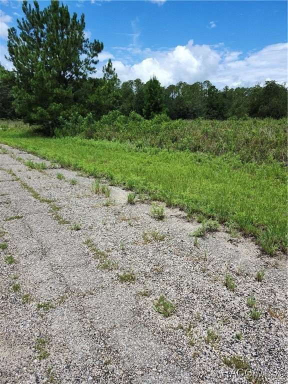 0.35 Acres of Residential Land for Sale in Dunnellon, Florida