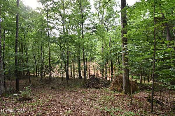 5.25 Acres of Residential Land for Sale in Knoxville, Tennessee