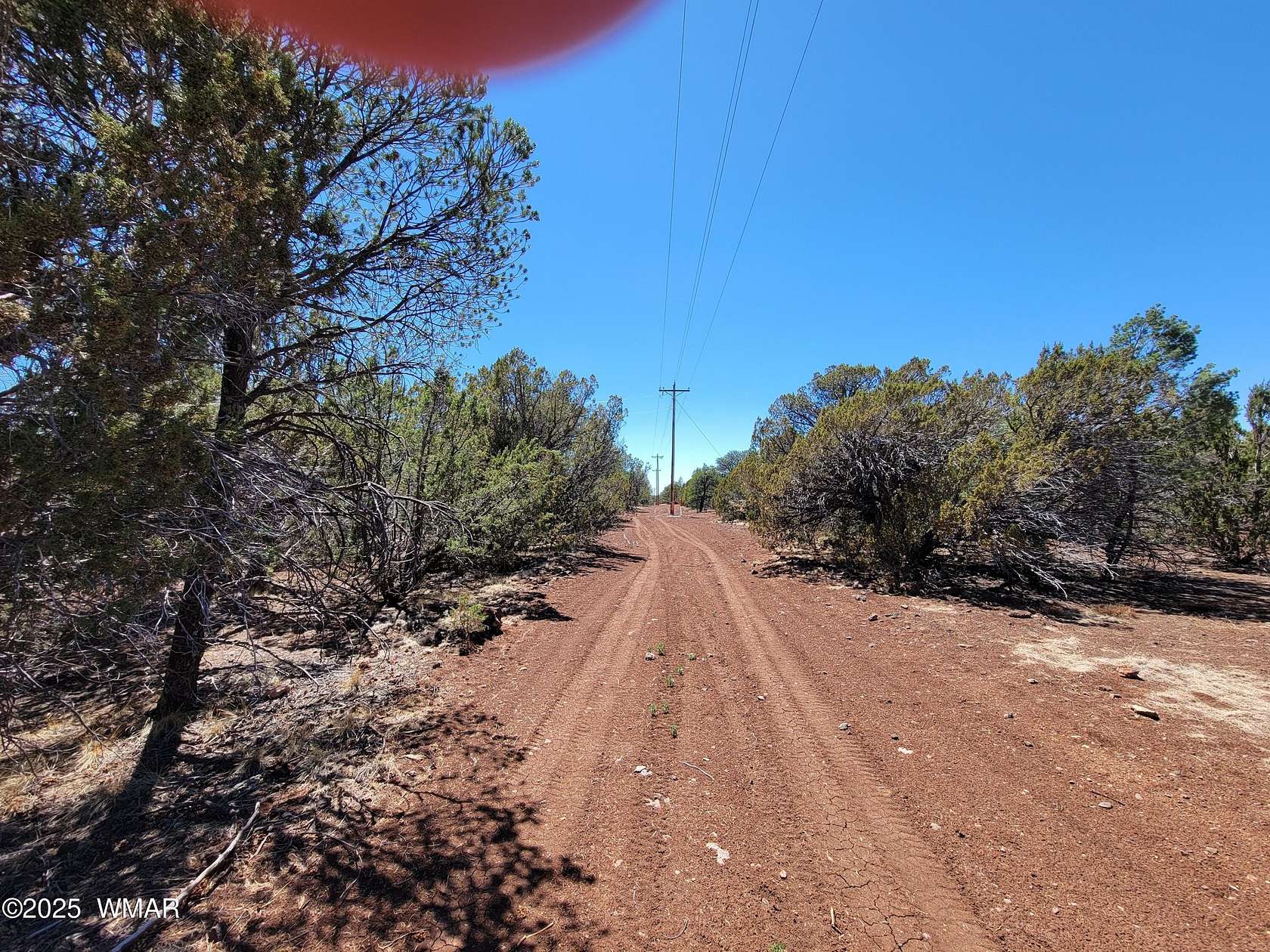 53.5 Acres of Land for Sale in Vernon, Arizona