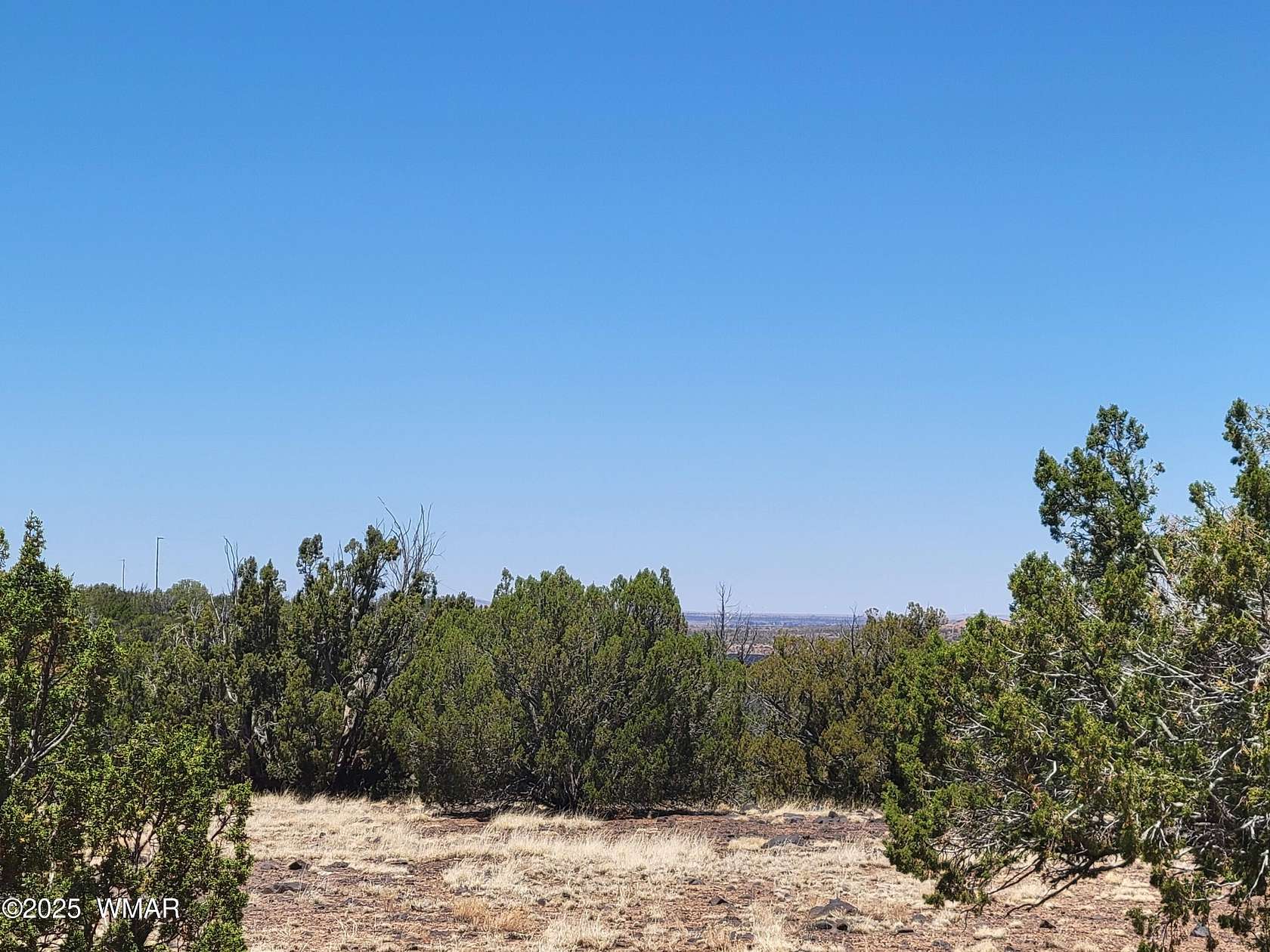 37.1 Acres of Land for Sale in Show Low, Arizona