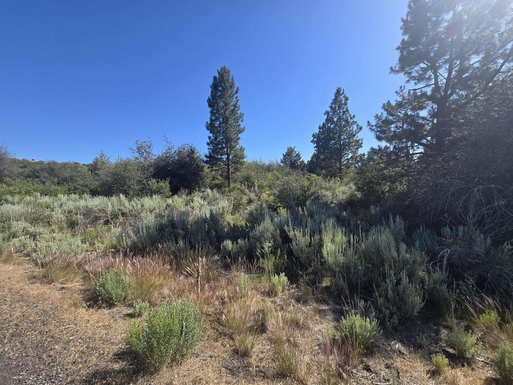 0.31 Acres of Residential Land for Sale in Chiloquin, Oregon