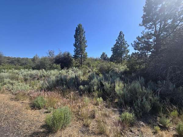 0.31 Acres of Residential Land for Sale in Chiloquin, Oregon