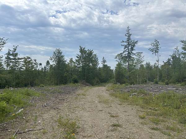 100 Acres of Land for Sale in Springfield, Maine