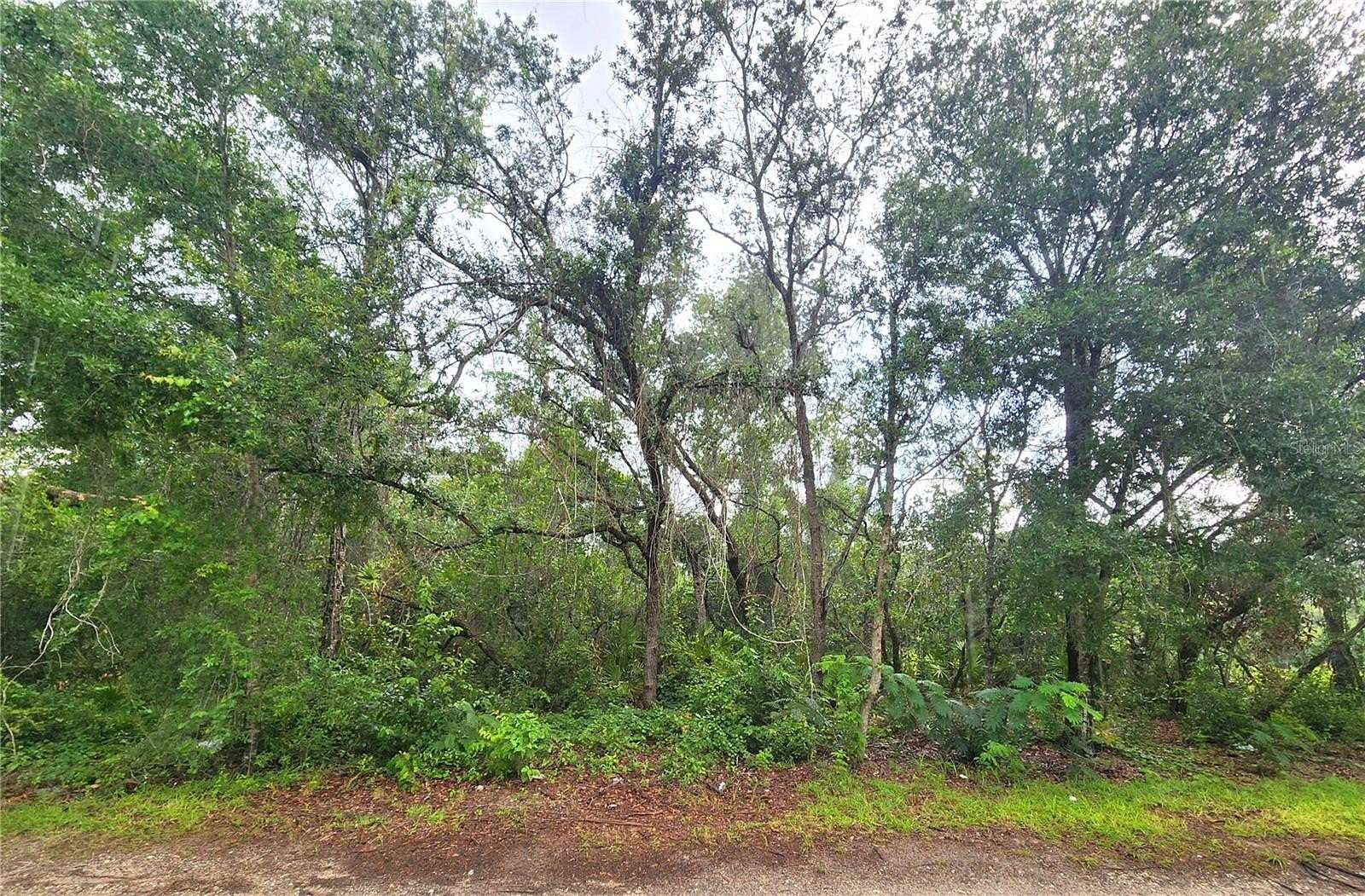 0.61 Acres of Residential Land for Sale in Silver Springs, Florida