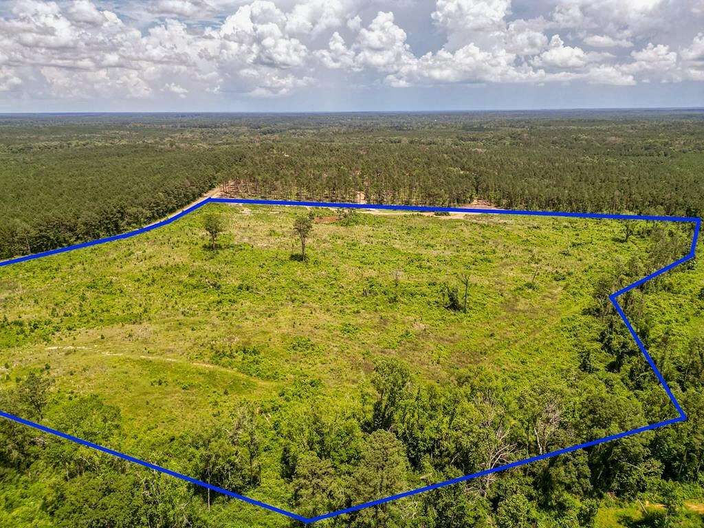50 Acres of Recreational Land & Farm for Sale in Liberty, Mississippi