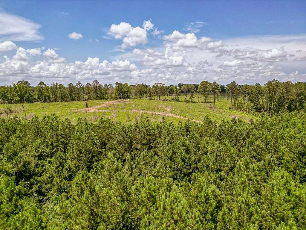 100 Acres of Recreational Land & Farm for Sale in Liberty, Mississippi
