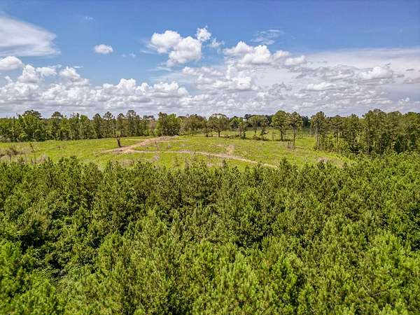 100 Acres of Recreational Land & Farm for Sale in Liberty, Mississippi