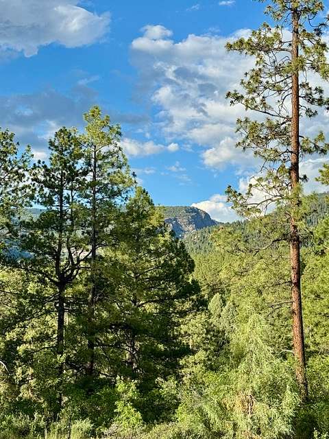 12.6 Acres of Recreational Land & Farm for Sale in Chama, New Mexico