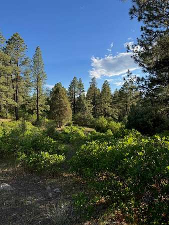 6 Acres of Land for Sale in Chama, New Mexico