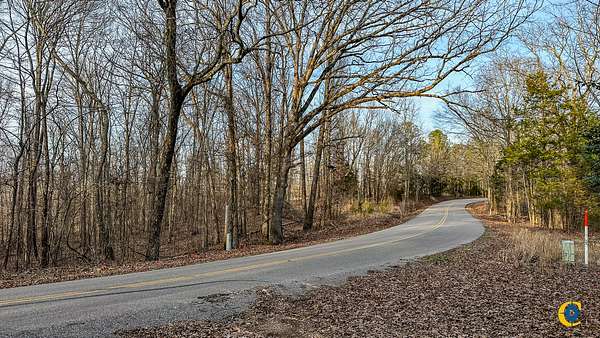 199 Acres of Land for Sale in Finger, Tennessee