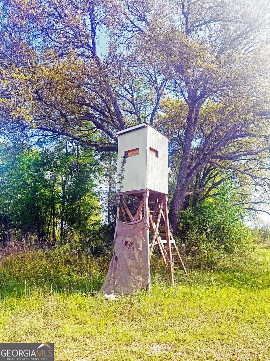 71 Acres of Land for Sale in Climax, Georgia