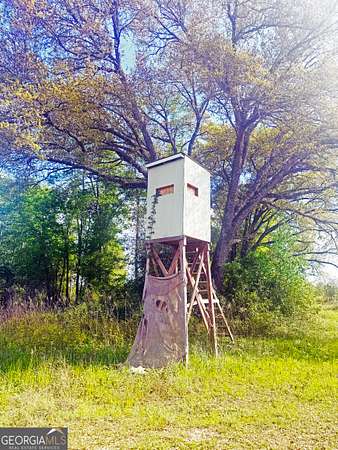 71 Acres of Land for Sale in Climax, Georgia