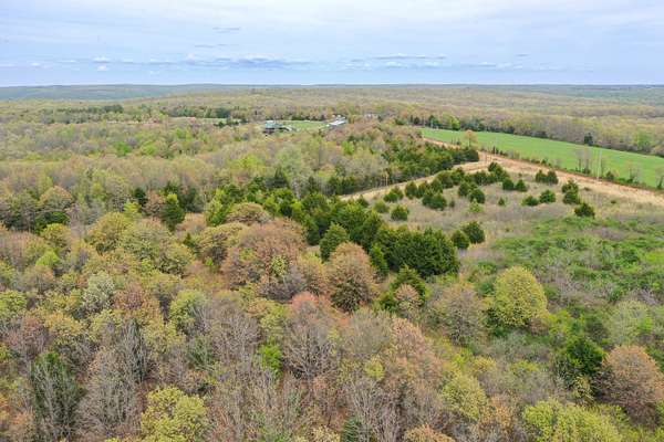 7.73 Acres of Land for Sale in Alpena, Arkansas
