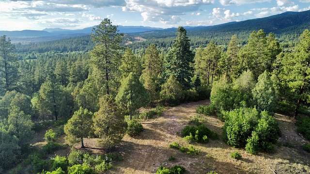 15.6 Acres of Land for Sale in Chama, New Mexico