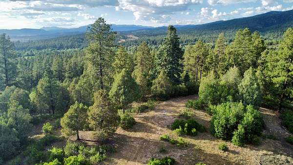15.6 Acres of Recreational Land & Farm for Sale in Chama, New Mexico