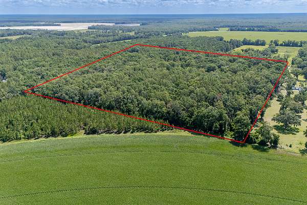 29 Acres of Land with Home for Sale in Old Town, Florida