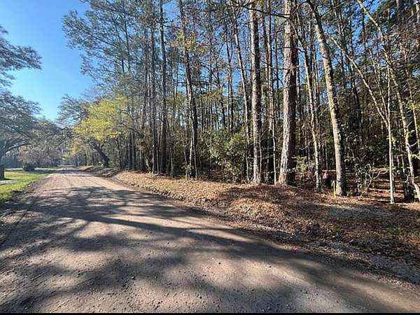 15.3 Acres of Land for Sale in Adams Run, South Carolina
