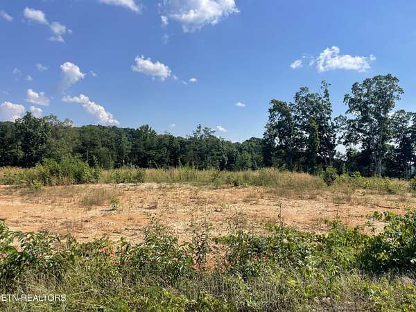 0.93 Acres of Residential Land for Sale in Strawberry Plains, Tennessee