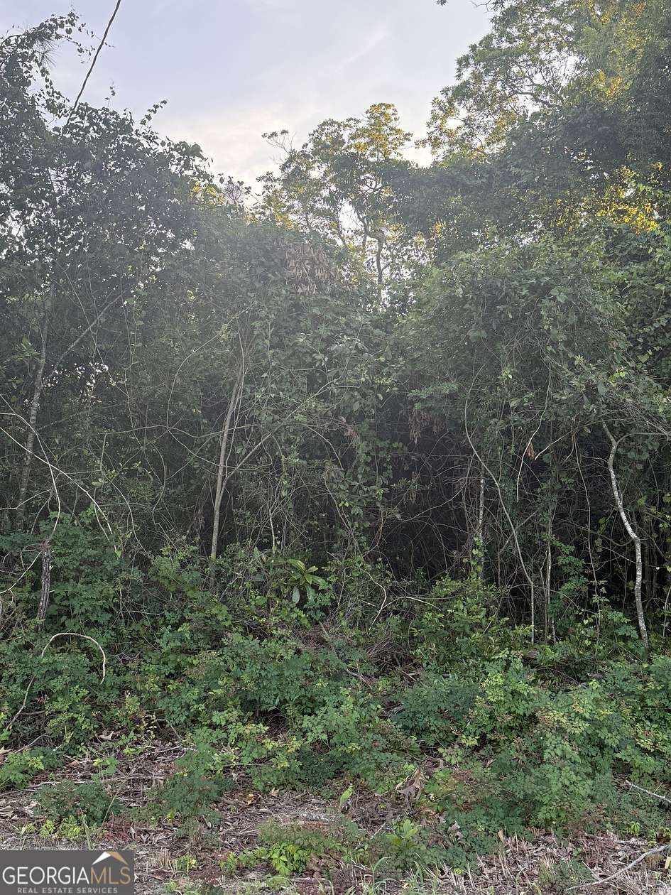 6.6 Acres of Residential Land for Sale in Statesboro, Georgia