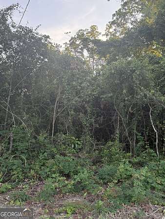 6.6 Acres of Residential Land for Sale in Statesboro, Georgia