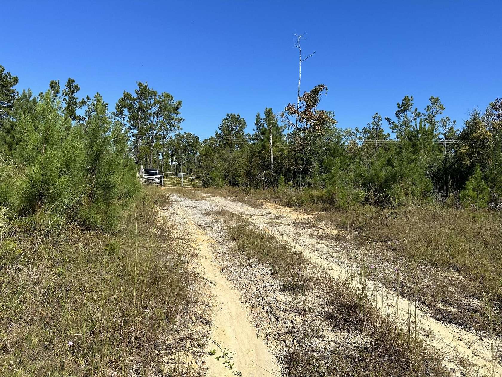 17.9 Acres of Recreational Land & Farm for Sale in Laurel Hill, Florida