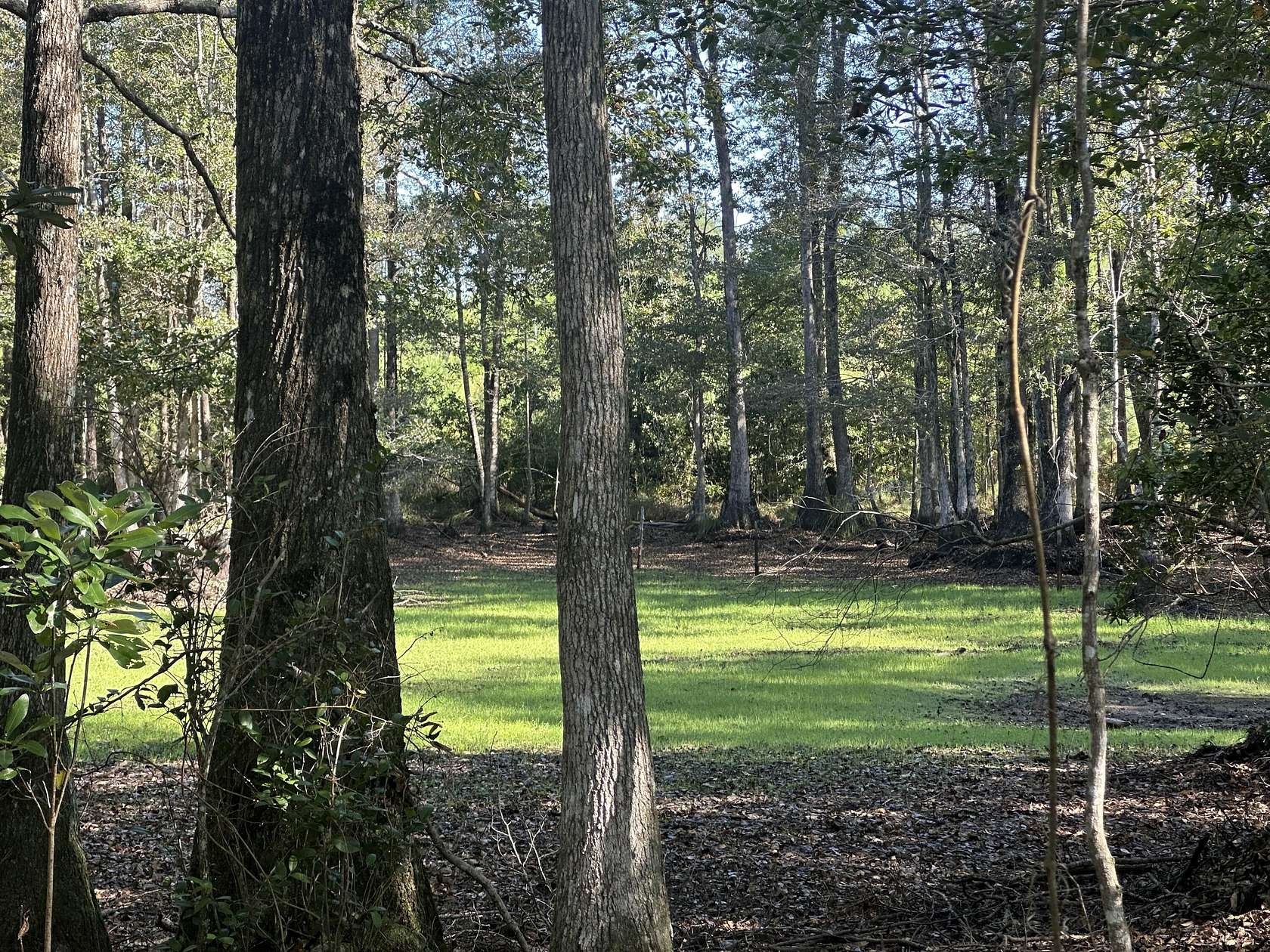 10 Acres of Recreational Land & Farm for Sale in Laurel Hill, Florida