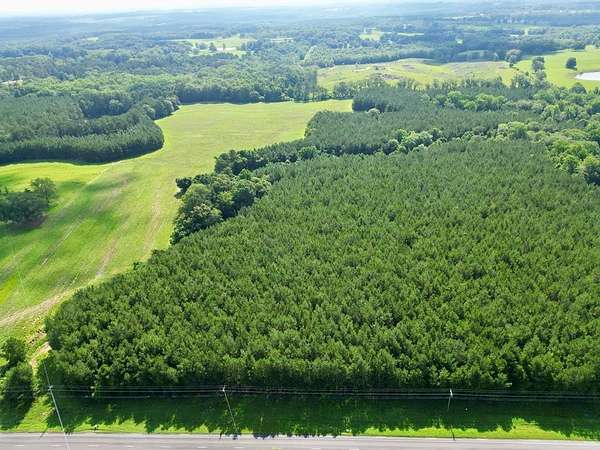 9.9 Acres of Land for Sale in Brundidge, Alabama