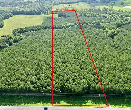 9.65 Acres of Land for Sale in Brundidge, Alabama