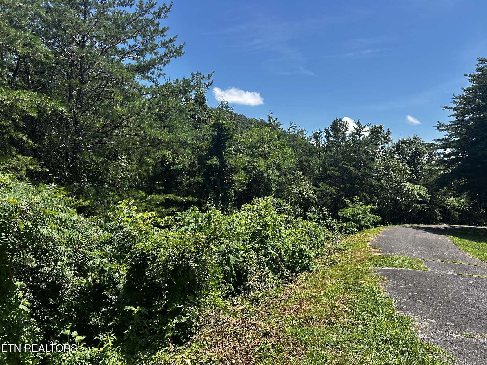1 Acre of Residential Land for Sale in Tellico Plains, Tennessee