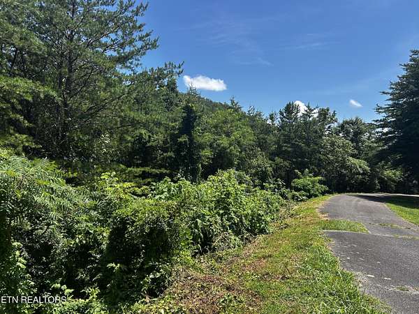 1 Acre of Residential Land for Sale in Tellico Plains, Tennessee