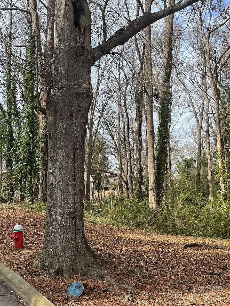 0.3 Acres of Residential Land for Sale in Rockingham, North Carolina