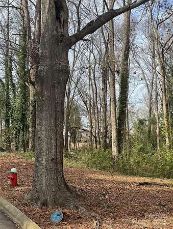 0.3 Acres of Residential Land for Sale in Rockingham, North Carolina