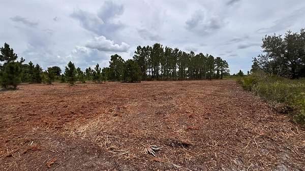 1.25 Acres of Residential Land for Sale in Okeechobee, Florida