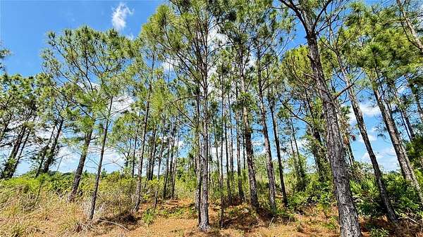 1.25 Acres of Residential Land for Sale in Okeechobee, Florida