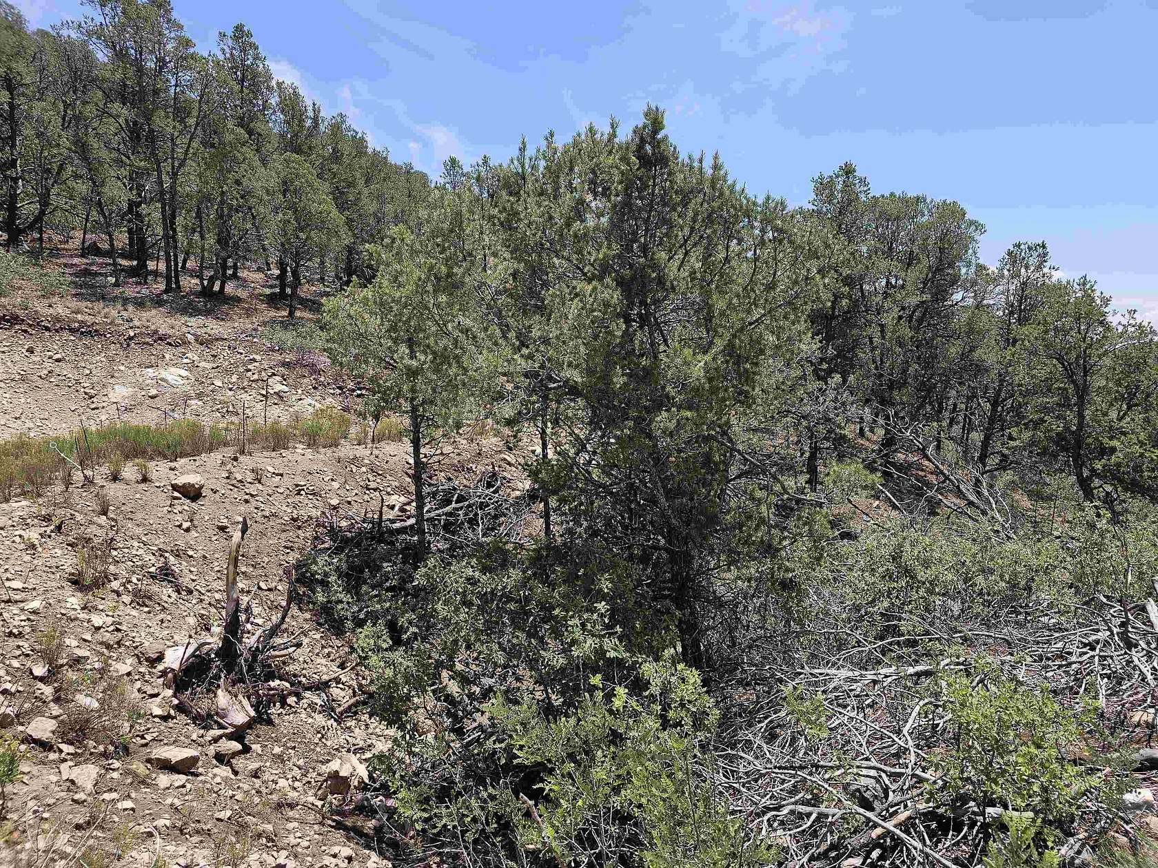 4 Acres of Land for Sale in Timberon, New Mexico