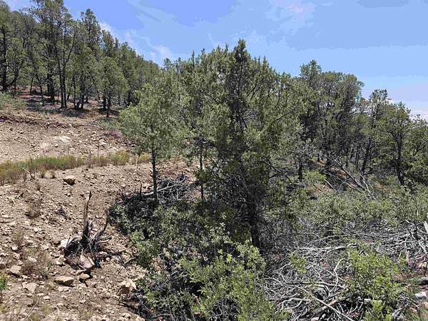 4 Acres of Land for Sale in Timberon, New Mexico
