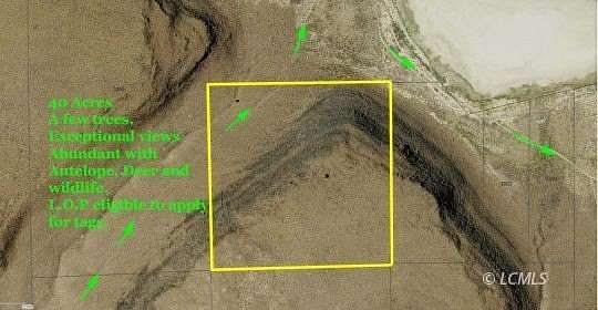 40 Acres of Recreational Land for Sale in Plush, Oregon