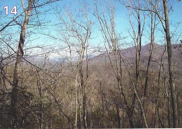 10.7 Acres of Land for Sale in Cartoogechaye Township, North Carolina
