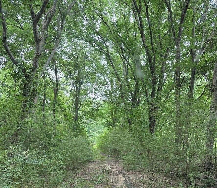 32 Acres of Recreational Land for Sale in Como, Texas